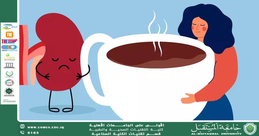  تأثير الكافيين على وظيفة الكلى