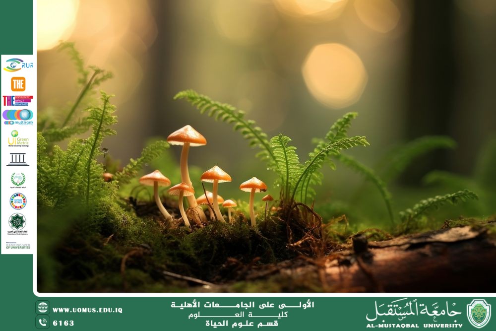 A scientific article by Ms. Noor Al-Huda Azmi Hassan entitled "Fungi, their biodiversity and environmental importance"