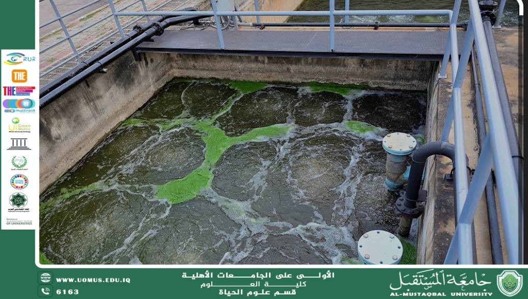 A scientific article by teaching assistant Banin Maan Karim entitled "Use of bacteria in wastewater treatment"