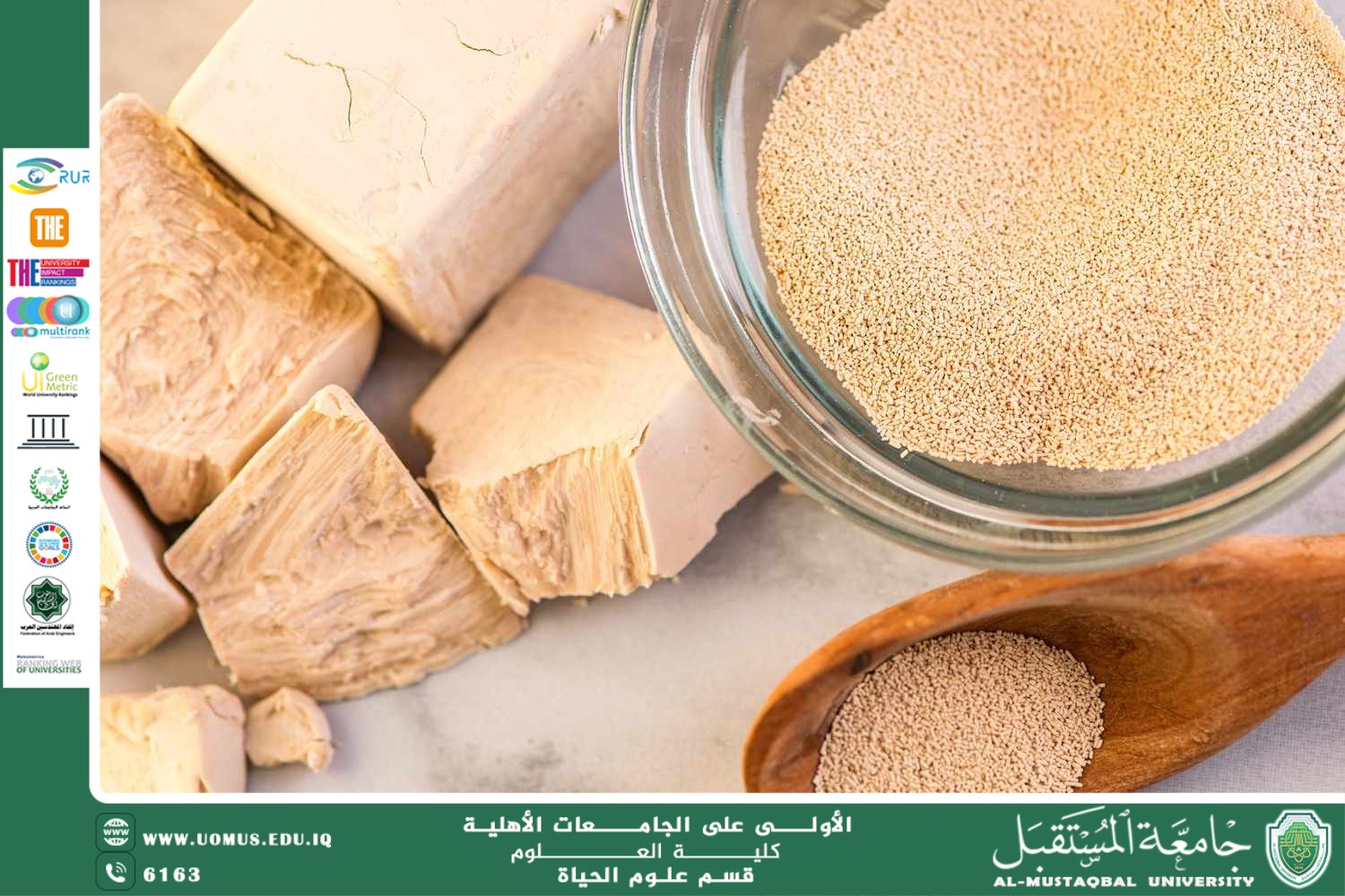 A scientific article by teaching assistant Banin Maan Karim entitled "Yeasts and their role in the food industry"