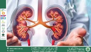 Chronic Noise Exposure and Environmental Stress: Indirect Effects on Kidney Health 
