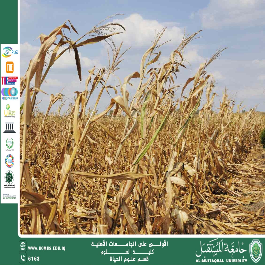 A scientific article by Ms. Noor Al-Huda Azmi Hassan entitled " The effect of temperature and rainfall on agriculture. "