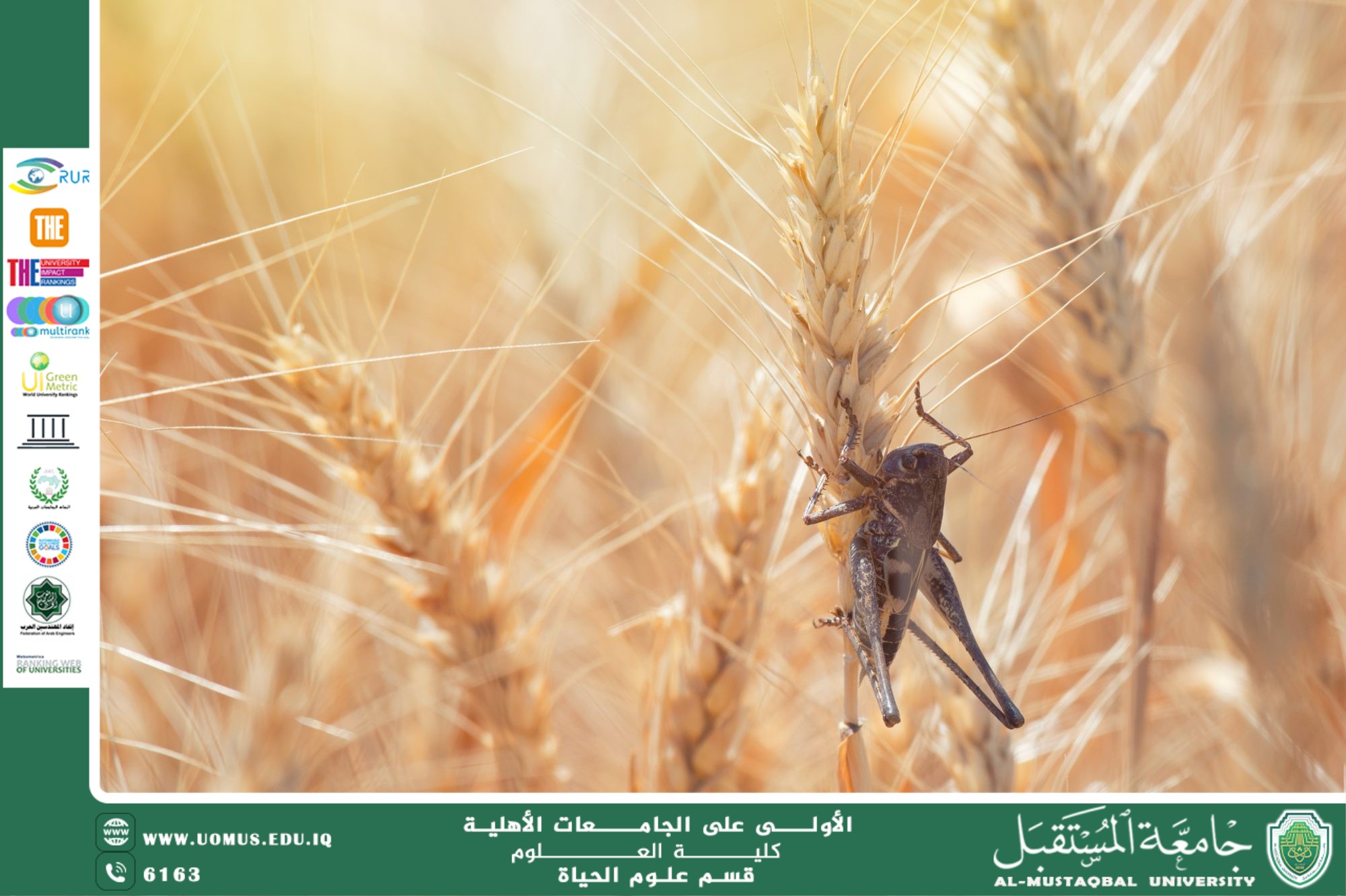 A scientific article by Ms. Noor Al-Huda Azmi Hassan entitled "   The impact of climate change on the spread of agricultural insects and its impact on food security   "