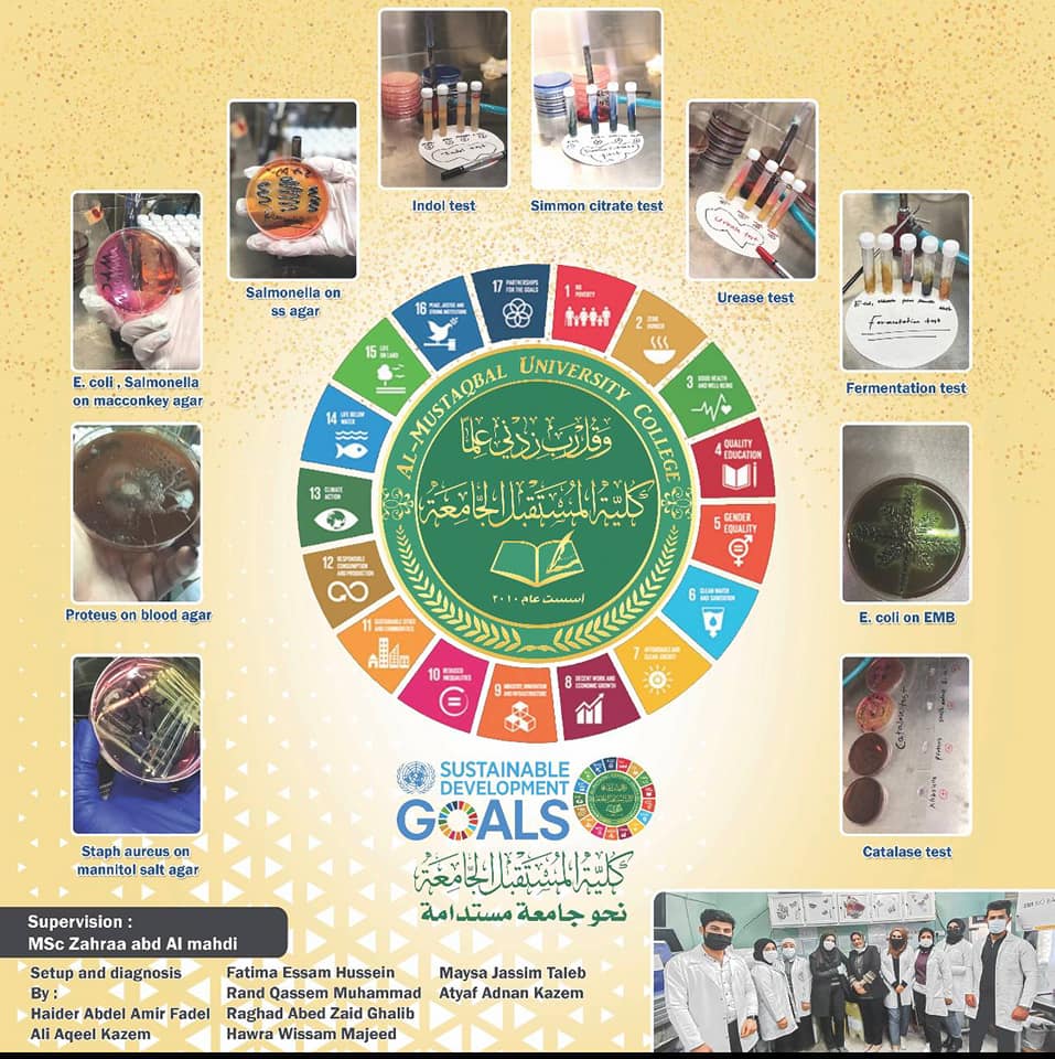 SDGs and Students’ Graduation Projects