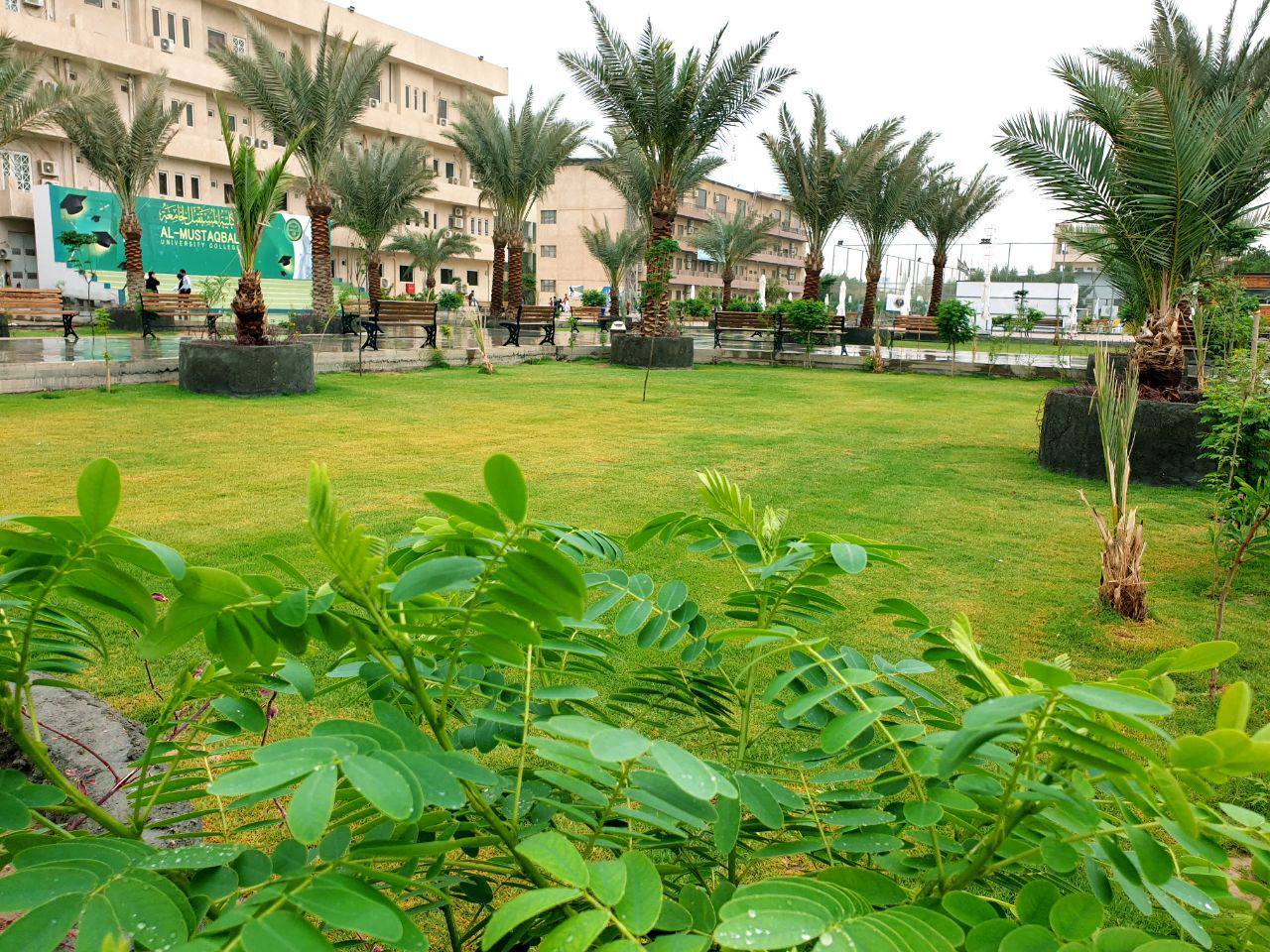 كلية المستقبل الجامعة الجامعة تتقدم في المرتبة الأولى في عدد البحوث العلمية المنشورة في مستوعبات سكوباس