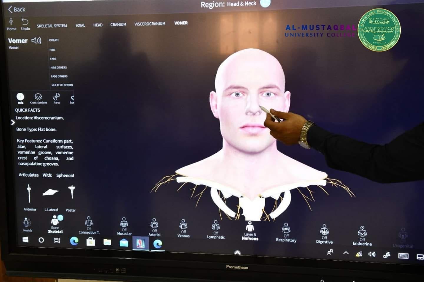 default image