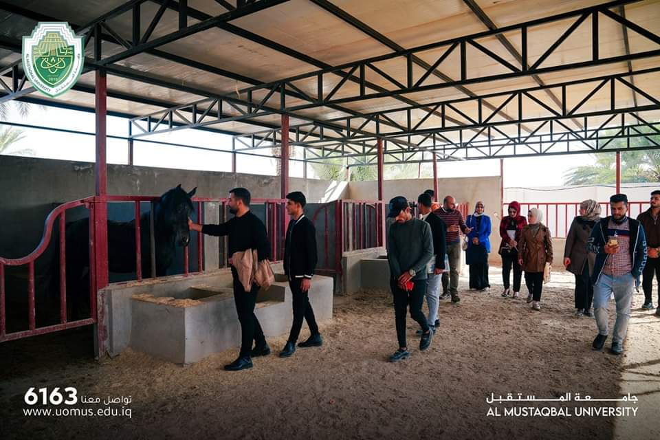 Al-Mustaqbal University Receives a Scientific Visit Representing  Al-Qasim Green University