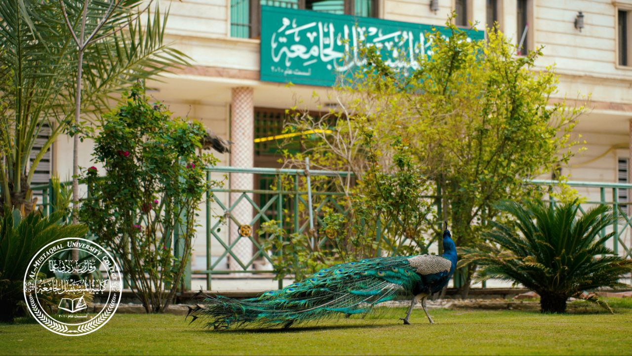 مشاركة وحدة التـأهيل والتوظيف والمتابعة في كلية المستقبل الجامعة  في (مبادرة ريادة) 
