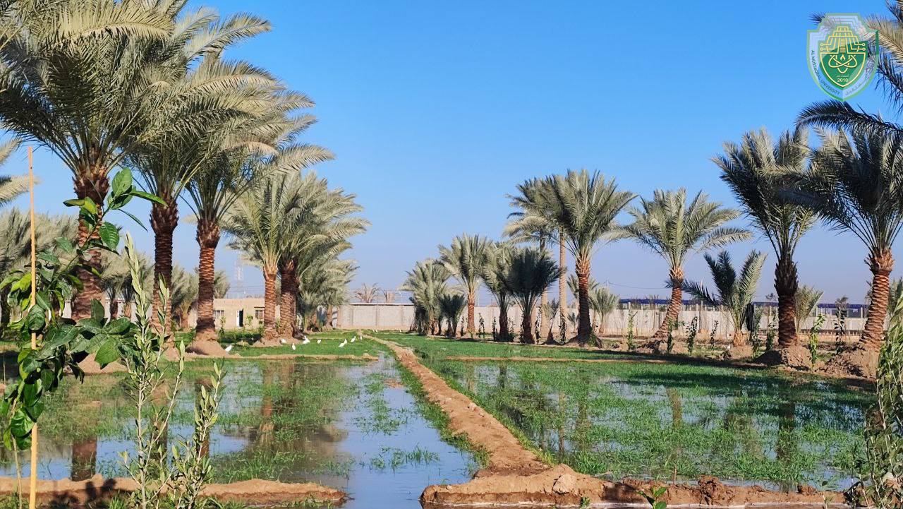 Al-Mustaqbal University Celebrates the International Water Day